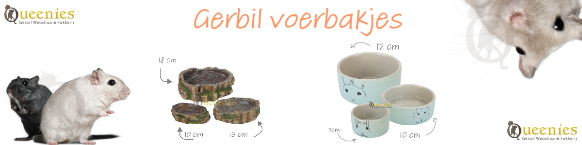 Gerbil voerbakjes kopen - Knaagdieren voerbak